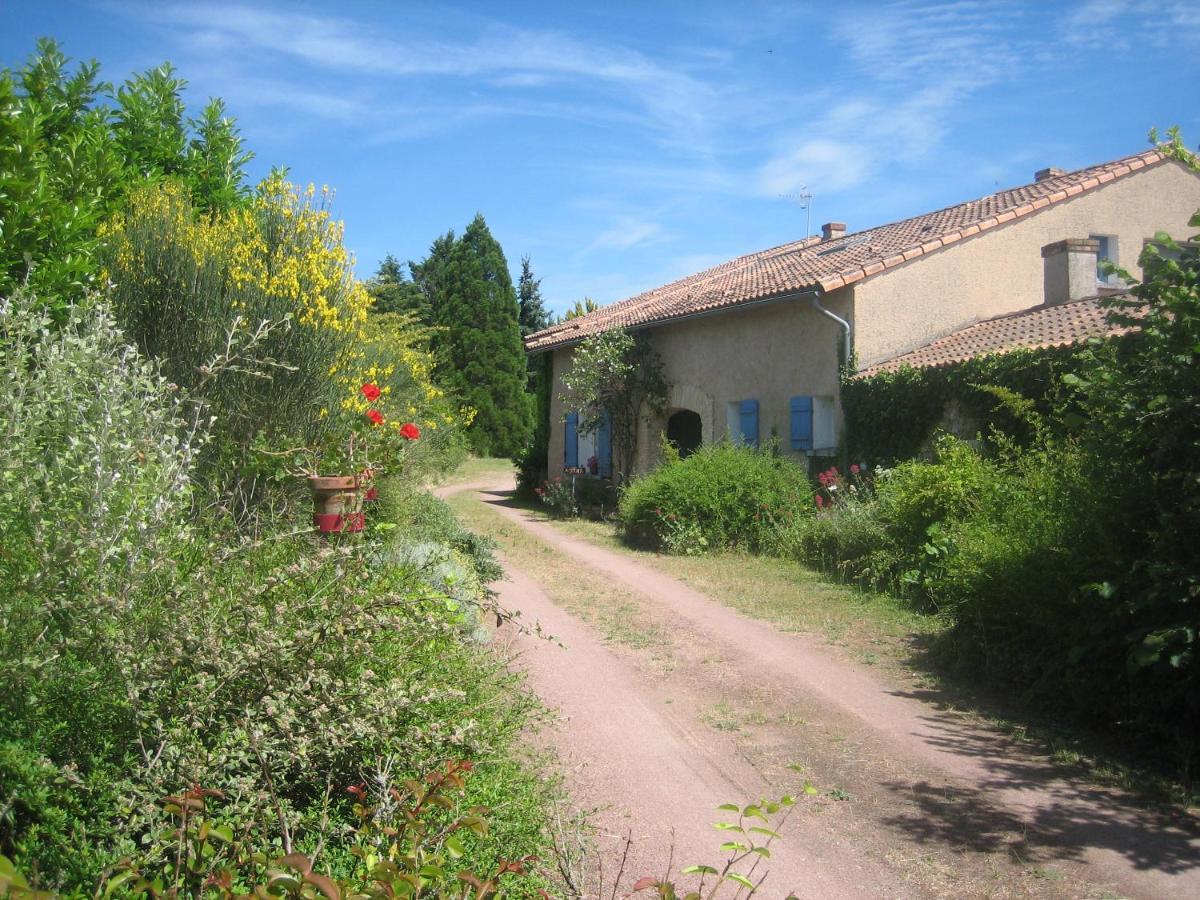 Bed and Breakfast Les Pierres Blanches Bonneuil-Matours Zewnętrze zdjęcie